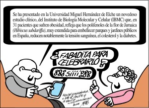 31-07-14-forges