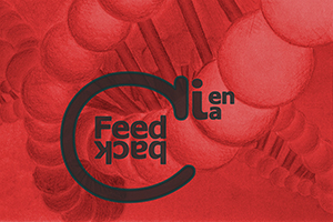 Programa Feedback Programa Feedback