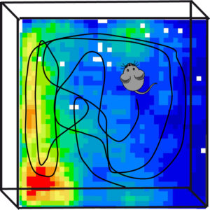Registro de la actividad neuronal de una rata mientras explora un espacio abierto en busca de comida. La zona en color amarillo-rojo indica que la neurona monitorizada presentaba una actividad muy elevada al visitar zonas cercanas a una de las barreras del espacio abierto. 